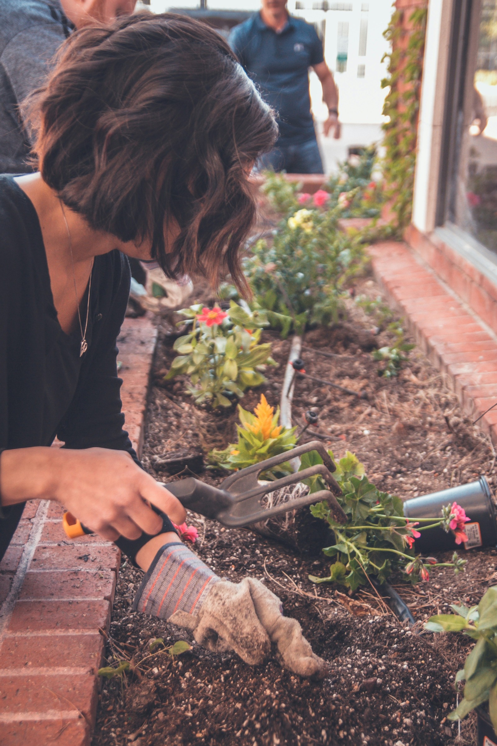 Image of a gardener planting flowers