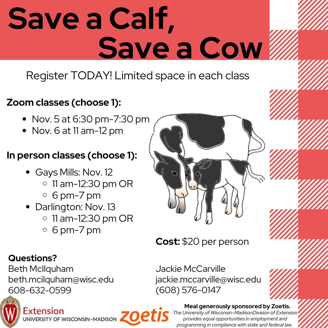 A flyer describing details of Save a Calf, Save a Cow. It says, "Register today! Limited space in each class. Zoom classes (choose 1): November 5th at 6:30pm to 7:30pm or November 6th at 11am to 12pm. In person classes (choose 1): Gays Mills: November 12th, 11am to 12:30pm or 6pm to 7pm or other date in Darlington, November 12th, from 11am to 12:30pm, or 6pm to 7pm. Cost is $20 per person. If you have questions, contact Beth McIlquham, beth.mcilquham@wisc.edu or phone number 608-632-0599 or contact Jackie McCarville, email being jackie.mccarville@wisc.edu or phone number at 608-576-0147