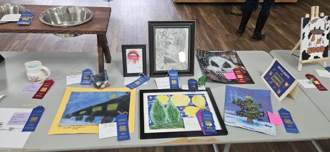 Many different childrens' art projects rest on a table. They have been judged, and blue and red ribbons lay next to them.
