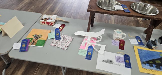 Many different childrens' art projects rest on a table. They have been judged, and blue and red ribbons lay next to them.