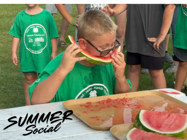 Youth eats a piece of watermelon in a contest.